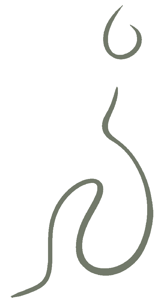 Logo Sage